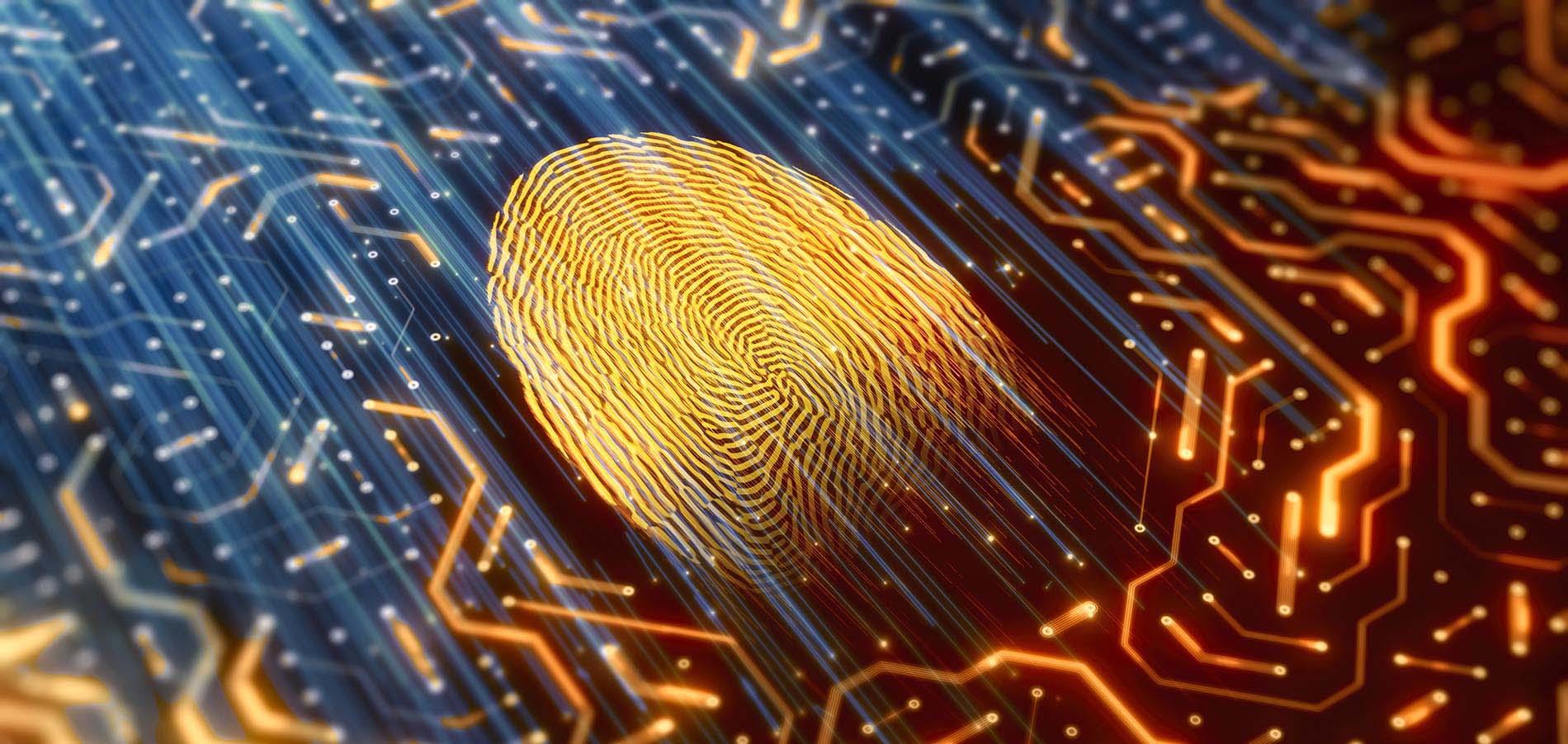 Master's in Digital Forensics Salary and Career Outlook Champlain